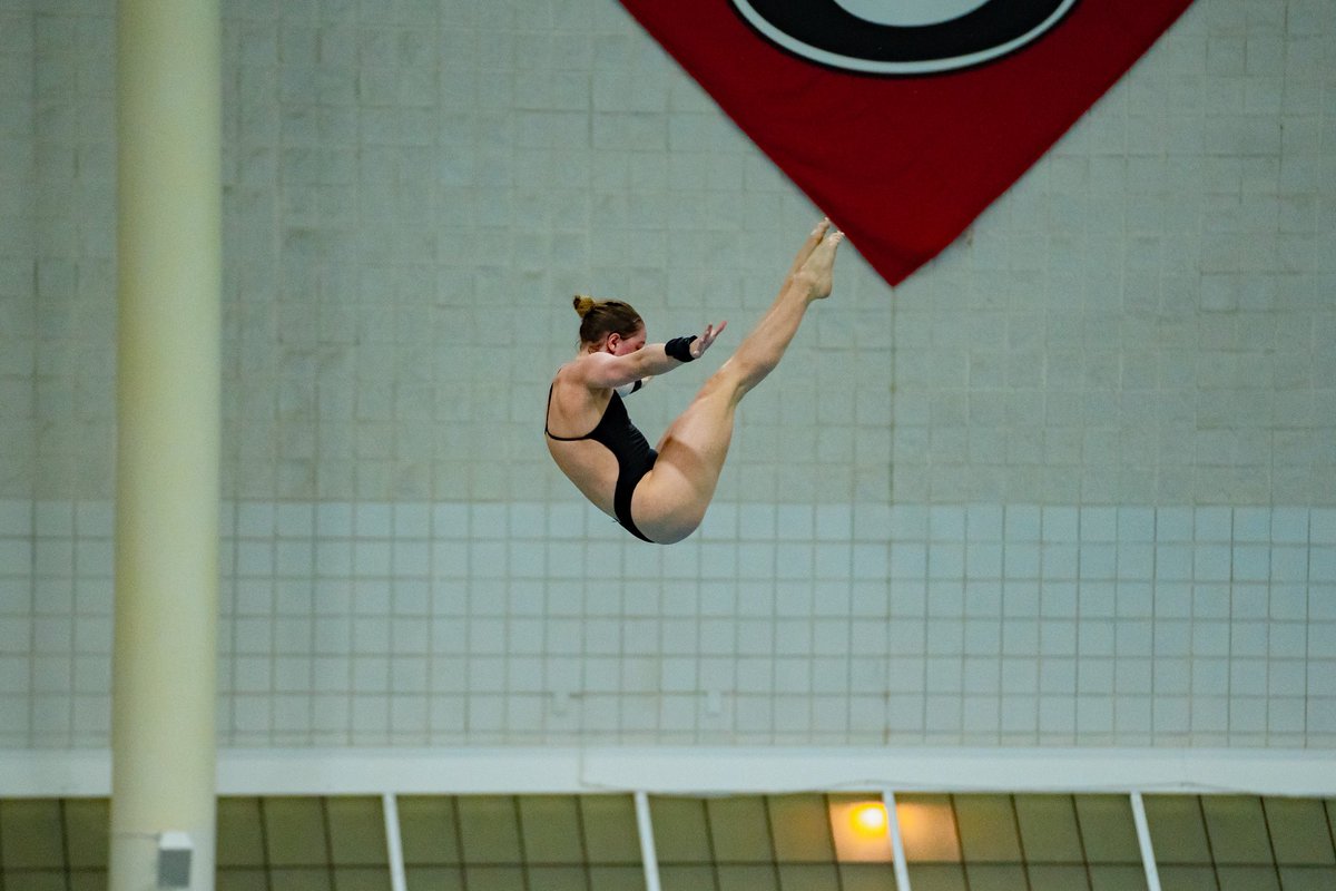 Ohio State Swim/Dive tweet media