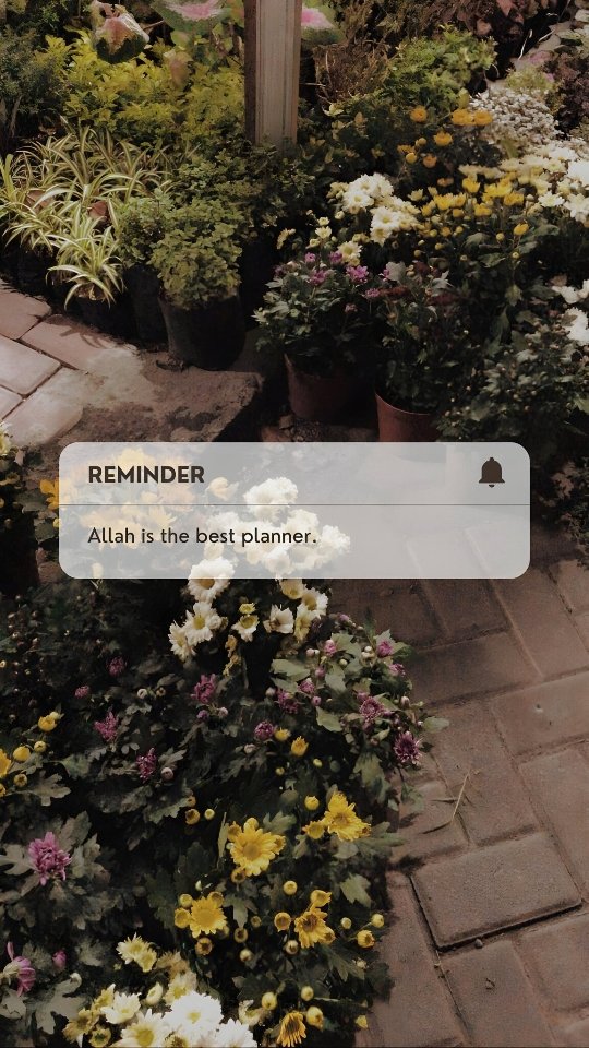 Aoa X family ❤
Good morning 🌞
Indeed ALLAH is the best planner 🌸💞
