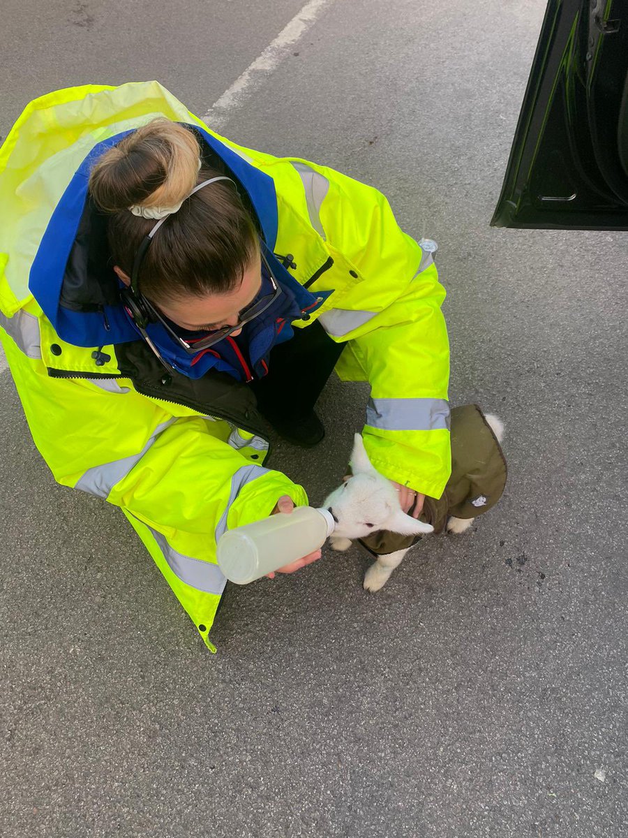 Rosie🖤 tweet media