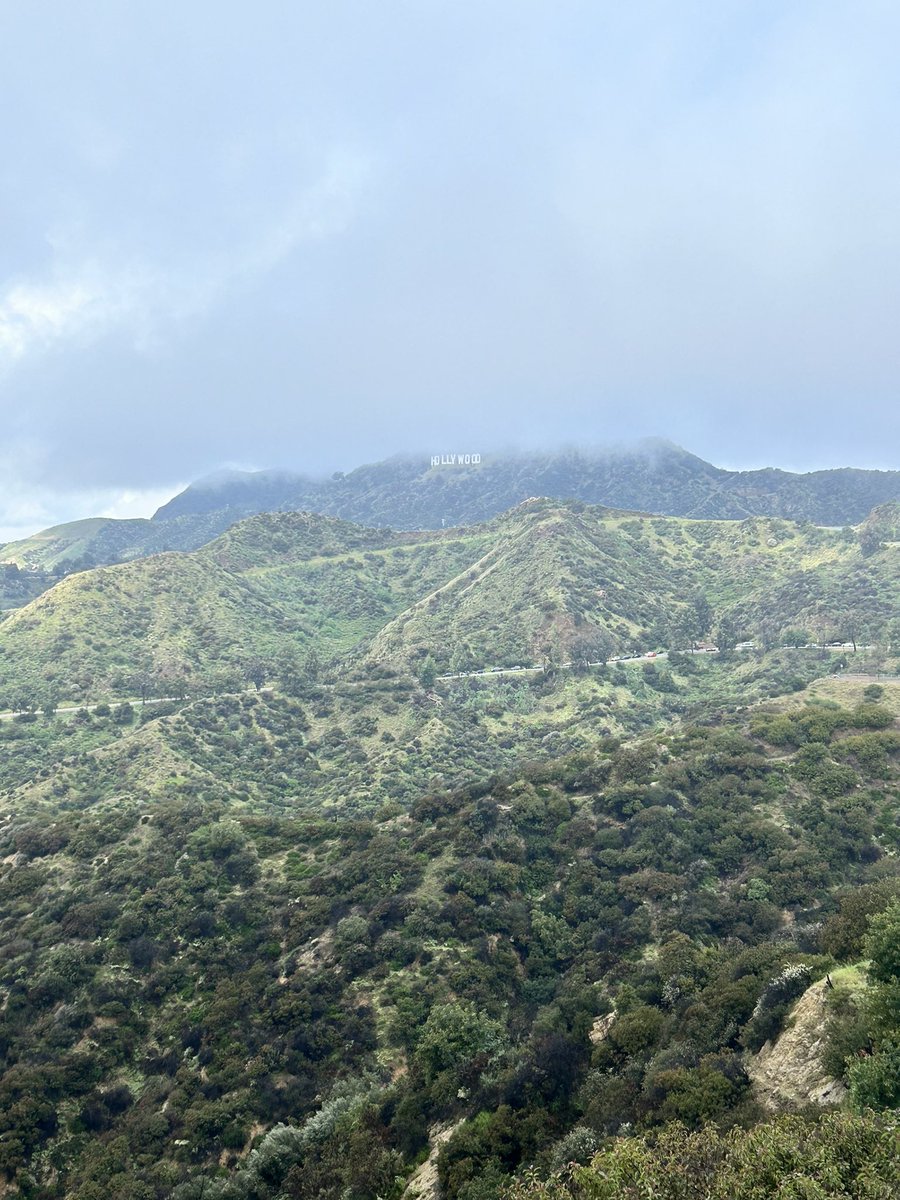 melissacorb_ett's tweet image. I had a great time presenting at #APLS2024 in beautiful Los Angeles ☀️