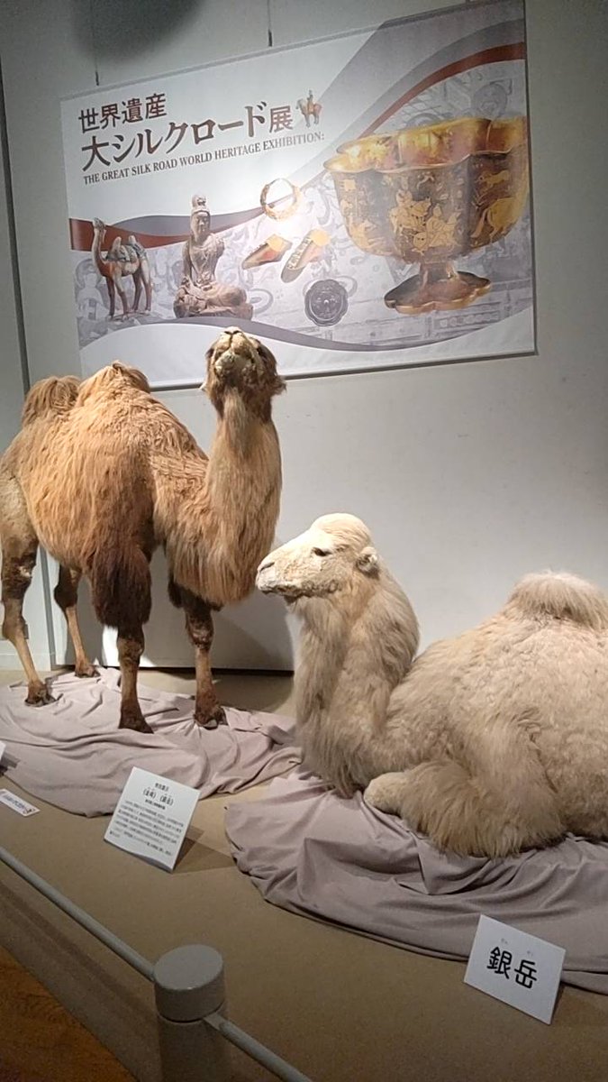 福岡市地下鉄【公式】 on X