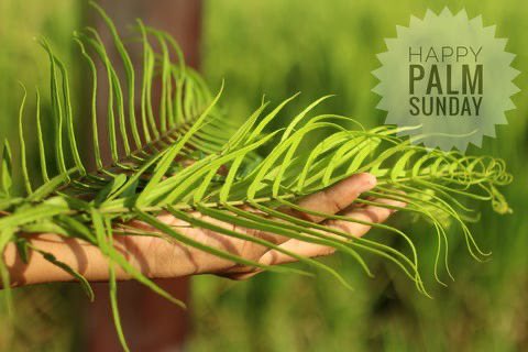 Todays post in my #EyeOnTheEvidence SS - 
Do you know and understand the true source of happiness?

drtenpenny.substack.com/p/happiness-ha…

#DrTSubstack
#palmsunday
#Psalm118