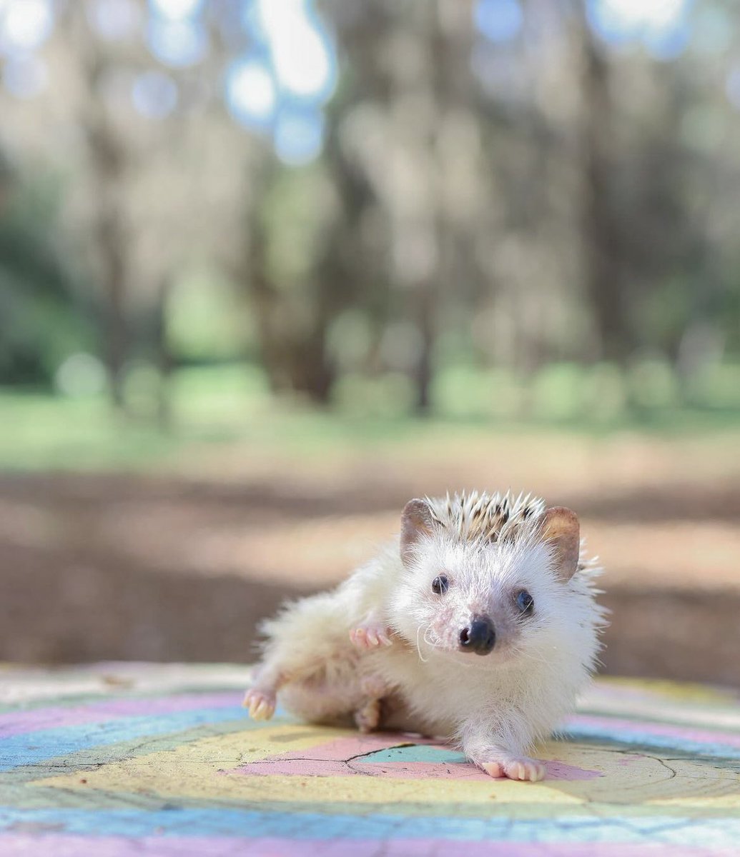 Saturday 23rd March, 2024