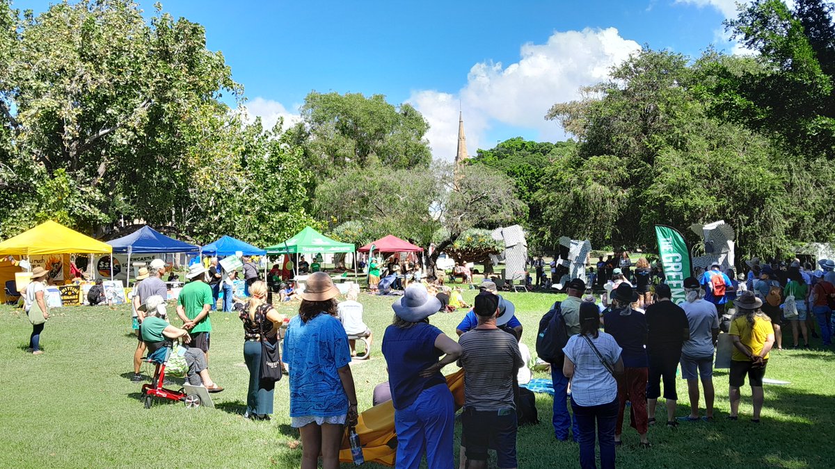 ozmerica's tweet image. The scene...
#StopNativeForestLogging
#KoalasNeedTrees