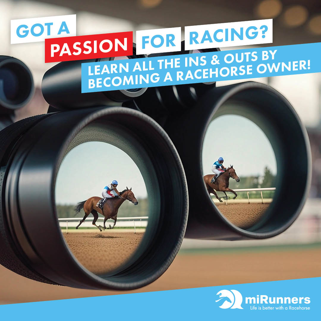 Have a passion for racing and want to get EXCLUSIVE training insights from professional trainers like Gai Waterhouse, Adrian Bott, Annabel Neasham and Rob Heathcote? 🤔 Get on a good thing today! ➡️ bit.ly/3HuOqba #annabelneasham #gaiwaterhouse #adrianbott