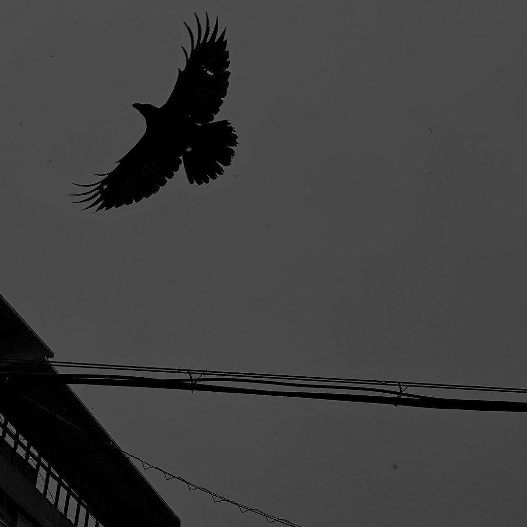 sejiwakata's tweet image. ⠀

𝗠𝗔𝗬𝗔𝗡𝗚 𝗔𝗥𝗨𝗡𝗜𝗞𝗔, 1997.
Status: Tidak sibuk, mohon diganggu.
Yang di sana mau berkawan?

⠀