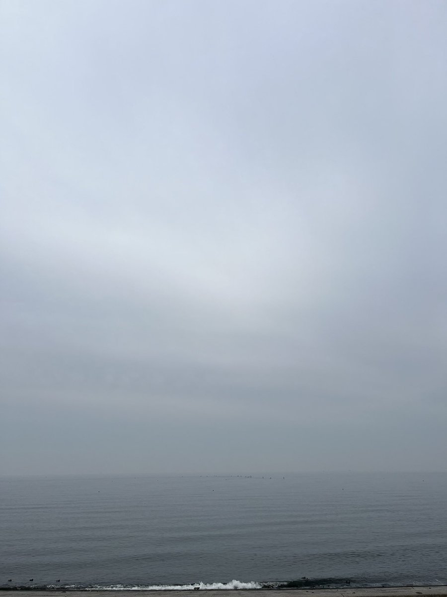 kz202207's tweet photo. https://t.co/0tMNIMsOYr