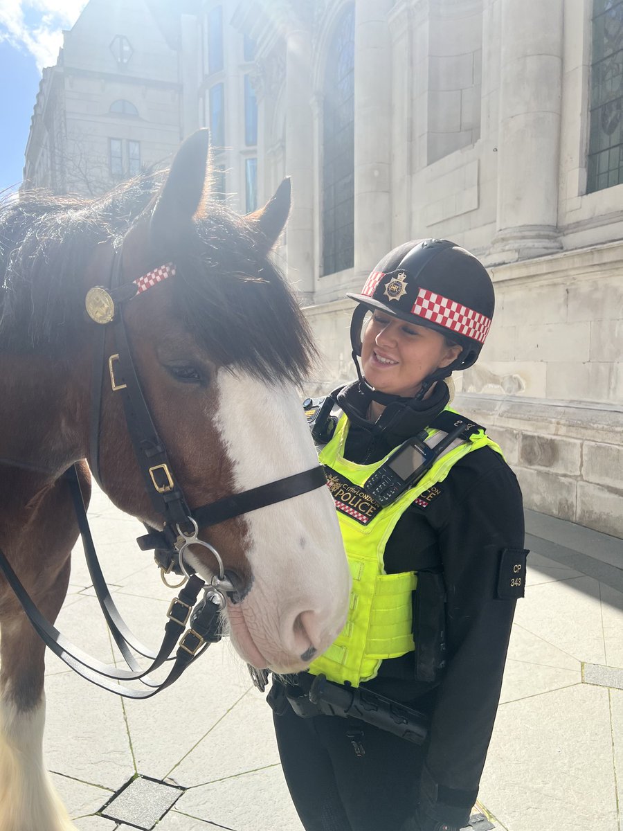 Thank you ⁦@CityHorses⁩ for supporting Strphen Lawrence Day ⁦@sldayfdn⁩ at Guildhall You were stars 🌟🐎❤️
