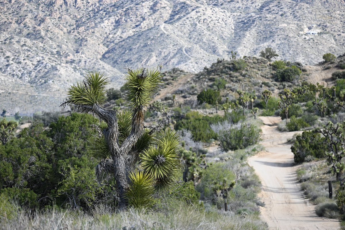 Brooke Haller tweet media