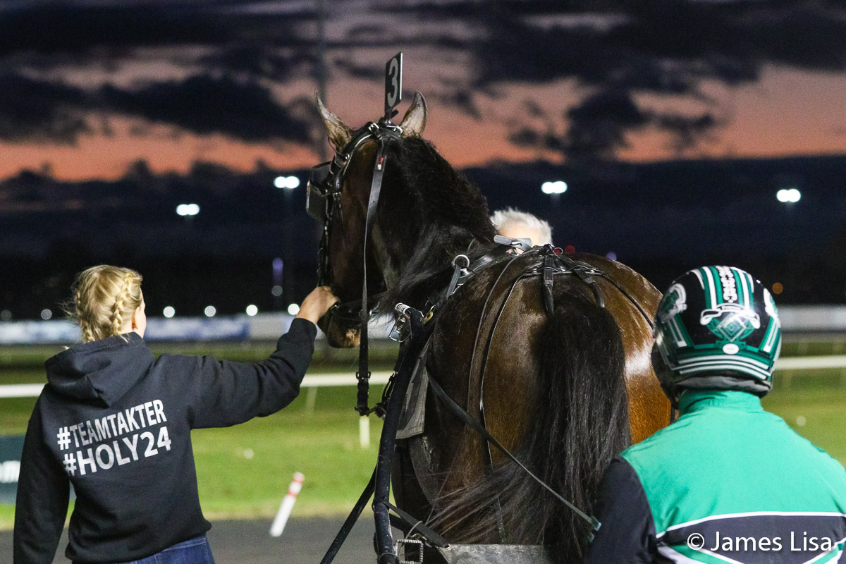 Mccrunch leaves the winner circle after winning his first start @NancyTakter @themeadowlands @JessicaOtten1 @DaveLittleBigM #harnessracing #PlayBigM