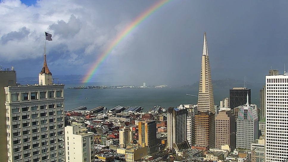 Darren Peck tweet media