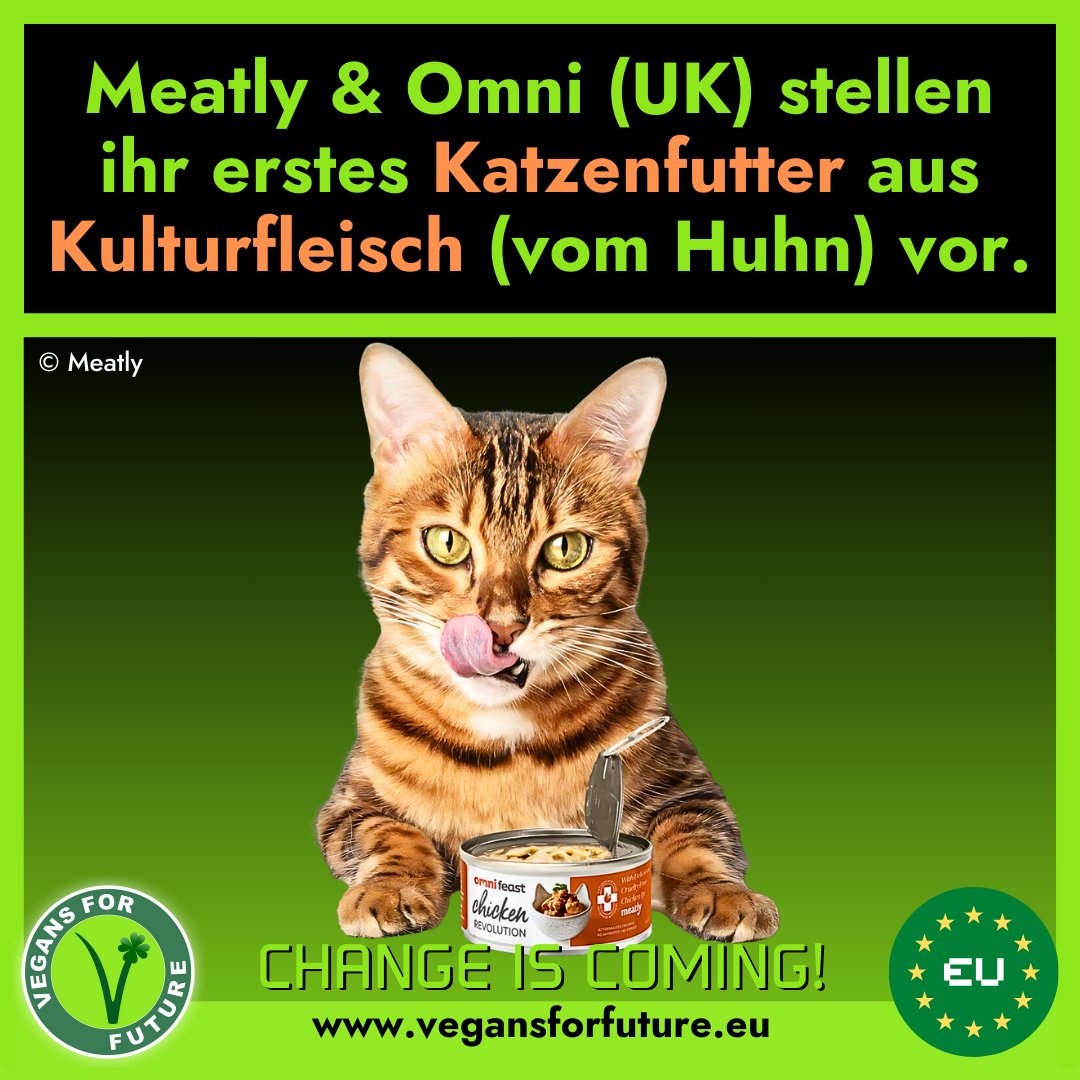 VFF_eu's tweet image. Mehrere Firmen beschäftigen sich bereits mit der Entwicklung von #Tierfutter aus #Kulturfleisch. #Meatly (UK) konnte nun einen Durchbruch vermelden und gemeinsam mit der Firma #Omni die ersten Dosen seines neuen Katzenfutters produzieren. 👍😎🌱

➡️ tumblr.com/vegansforfutur…