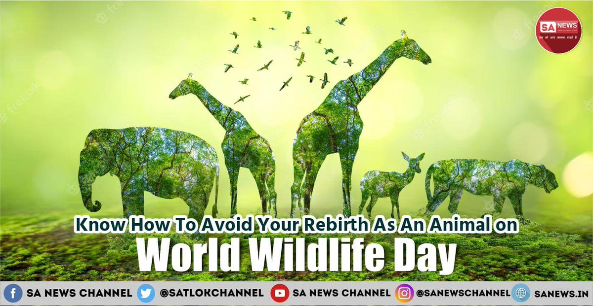 Embark on a deep dive into #WorldWildlifeDay2024, where intricacies of its theme are unravelled and delve into the profound teachings of Sant Rampal Ji on spiritual liberation. Discover actionable steps to transcend animal rebirth and navigate through the nexus of conservation
