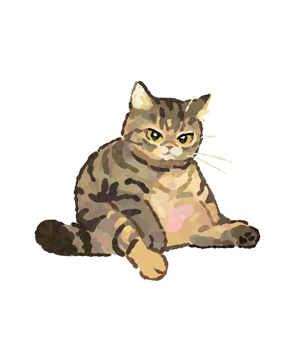 GENTLECAT tweet media
