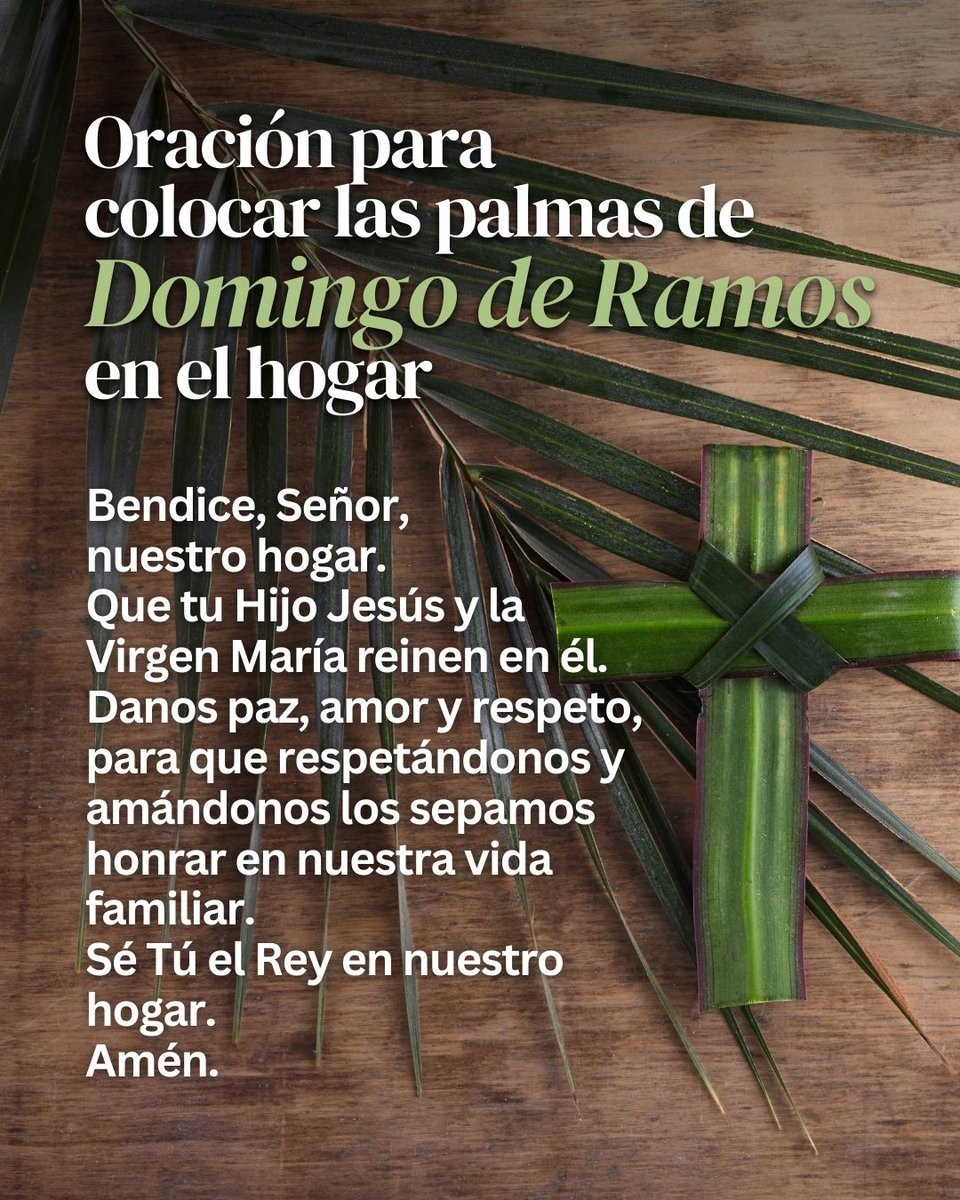 Hoy es #DomingodeRamos2024: Conservamos las palmas para recordar que Jesús es nuestro rey y es bienvenido en nuestro hogar. #SemanaSanta2024

Colócalas con esta oración.🌿🙏⁣