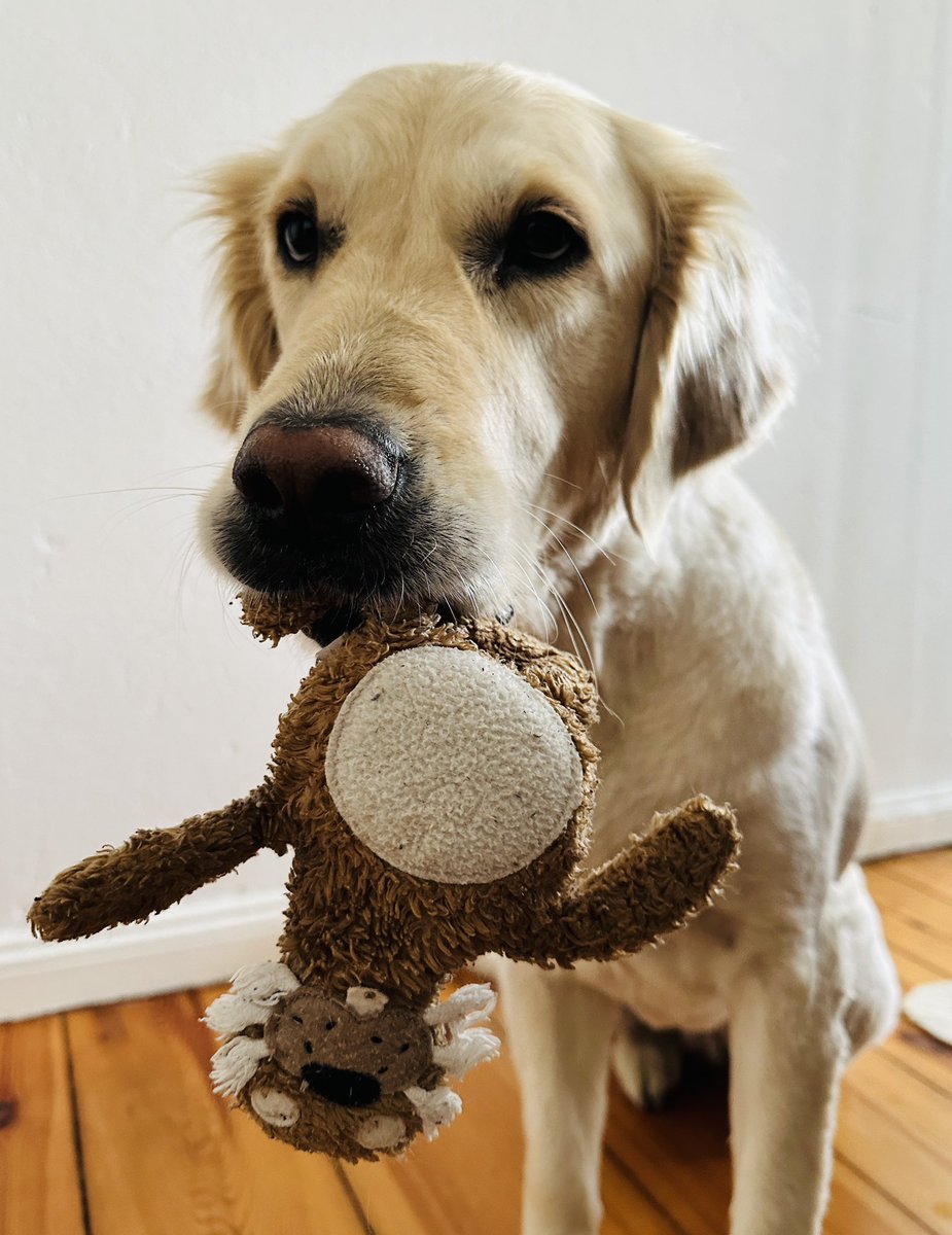 Frohe Ostern all denen, die es feiern! Für mich auch ein Tag, um an die zu denken, die nicht mehr hier oder einsam sind. Zum (kein Ohr-) Hase noch n bisschen (un)nützes Wissen: In der Antike stand der 🐰 als tierisches Symbol für Jesus.