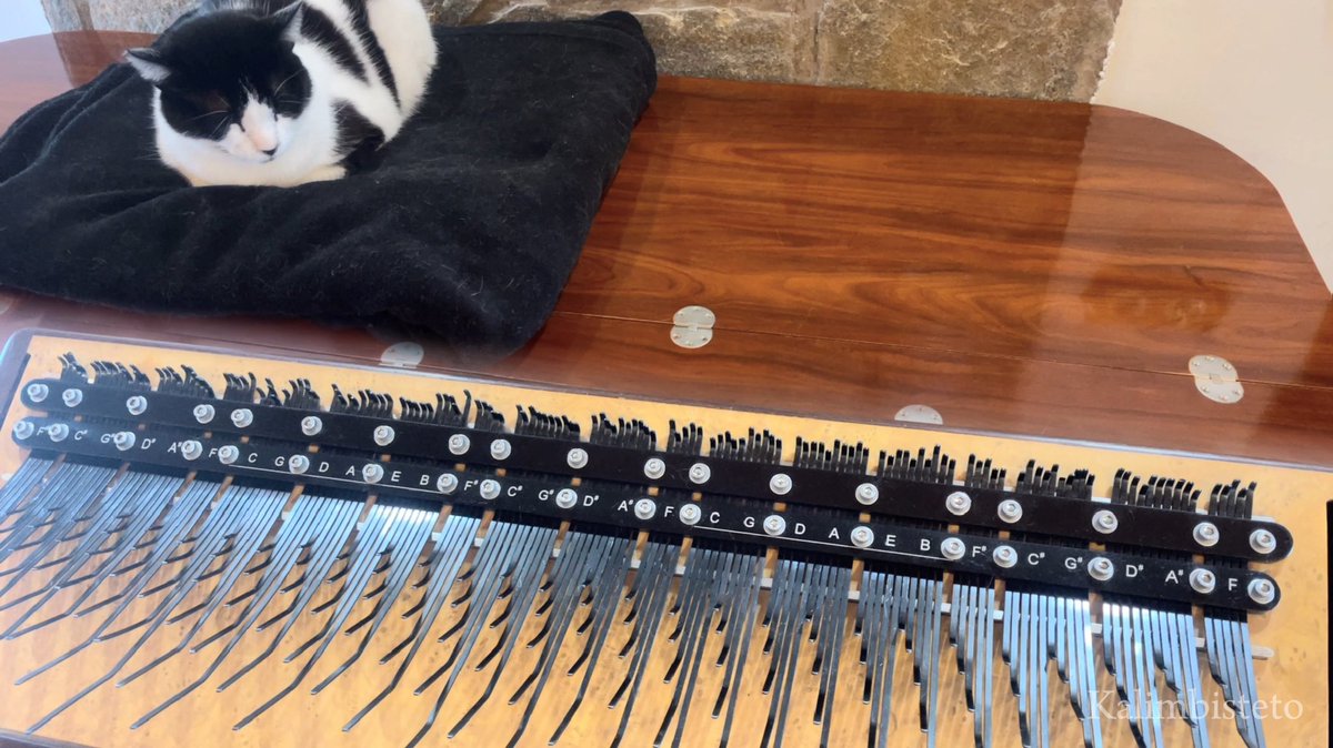 Kalimbisteto's tweet image. 「一家団欒」はこの曲の正式なタイトルではないようですが、とても合ってますね。

いろいろ改めて聴いてみると「ひろしの回想」や「ありの歌」とか、 #クレヨンしんちゃん は素敵な曲が多い気がします🐈‍⬛

#クレしん #アレイムビラ #カリンバ