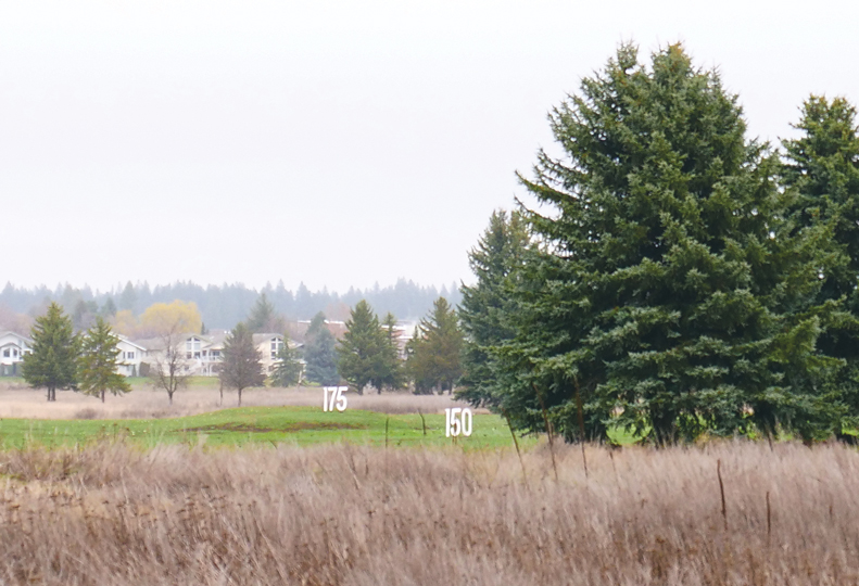 Despite a decision by the city of Spokane Valley that grants permission to proceed with the development of the former Painted Hills Golf Course into a planned residential community, conditions of approval may continue to delay progress at the site. spokanejournal.com/articles/15872…