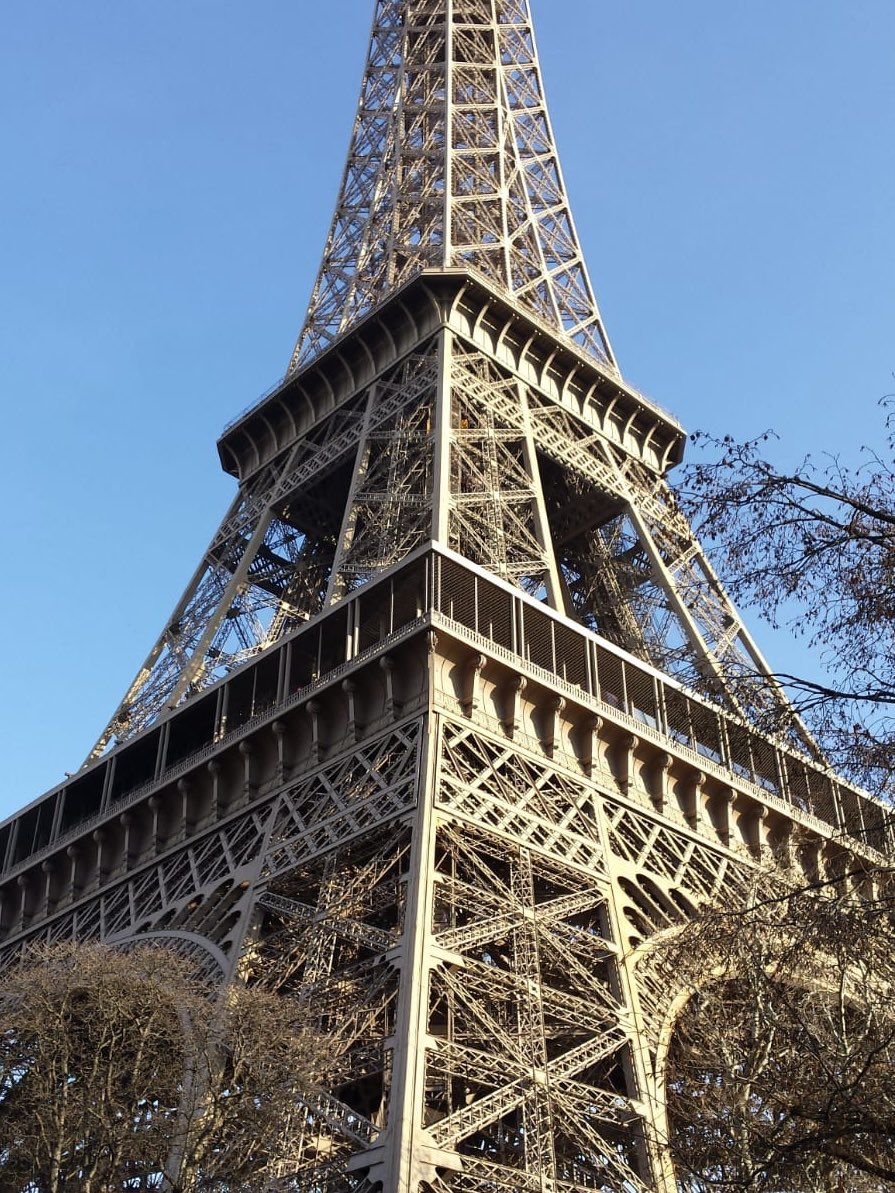 Promenade en France tweet media