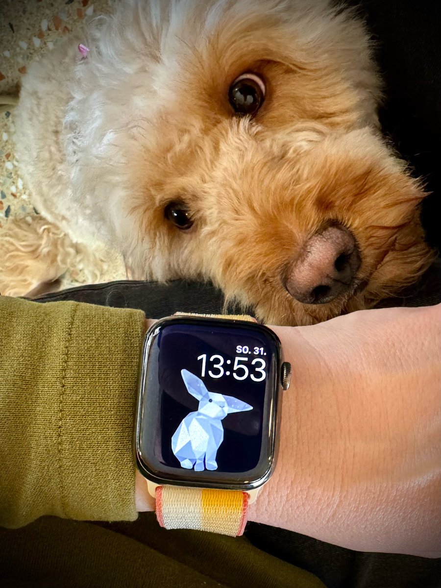 Happy Easter Everyone! Beautiful “Bunny” 🐰🐣🫶🏼 watchface for Apple Watch by <a href="/diana_dachille/">Diana D'Achille</a> <a href="/DianasAnimals/">Diana's Animals</a> #watchfaces #watchface #applewatch #watchfaceanimals #applewatchultra #animals #fashion happyorca.com