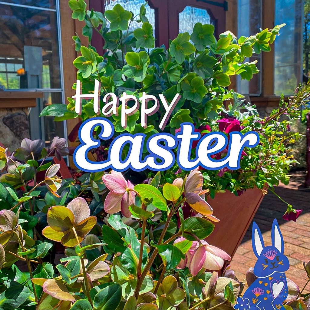 So that our incredible team can spend time with friends & family, The Angus Barn will be closed for dinner Sunday March 31. *Our annual Easter Sunday food service will be plated only. Restaurant and lounges will be open 11:00am – 4:00pm. instagr.am/p/C5LWytHLHto/
