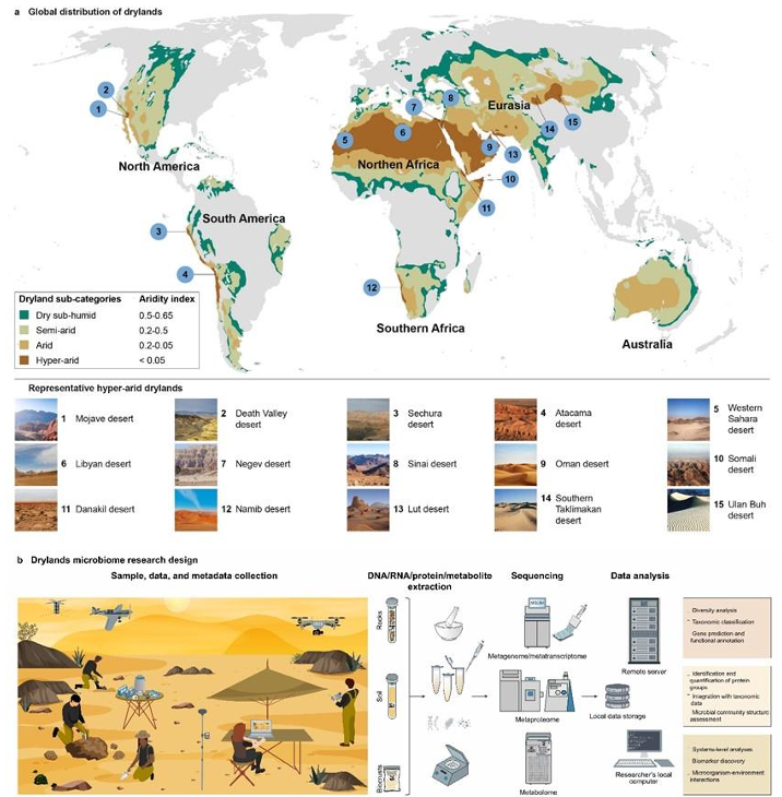 New @ISMEJournal in @BioFunLab Dryland microbiomes reveal community adaptations to desertification and climate change academic.oup.com/ismej/advance-… Led by @ClaudiaColeine! w/@LauraSelbmann @Prof_Braj_Singh @EleonoraEgidi and more! @IRNAS_CSIC @CSIC