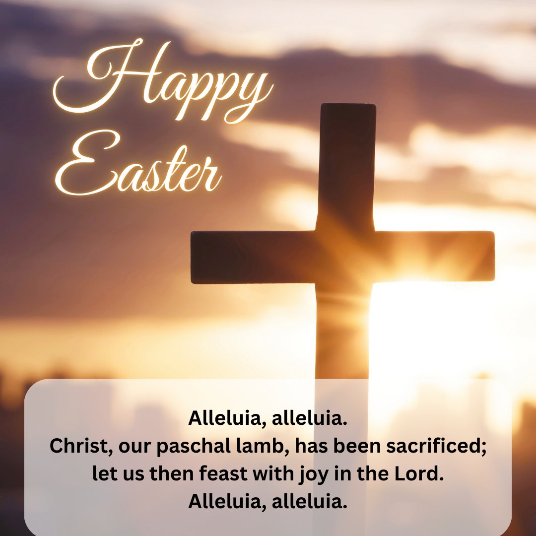 Foundation of the Roman Catholic Diocese - Raleigh tweet media