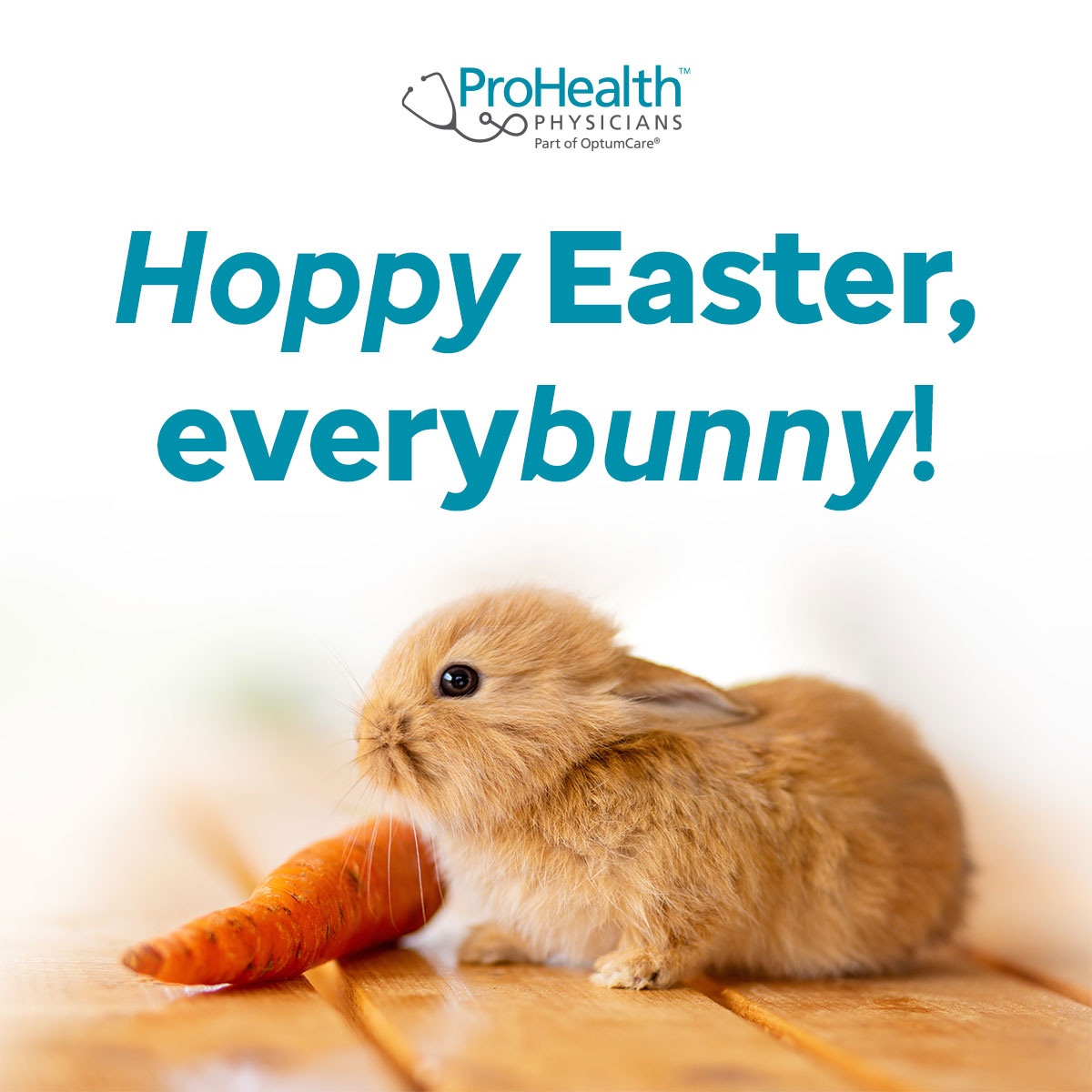 We wish you a safe and 'hoppy' Easter! 🐰