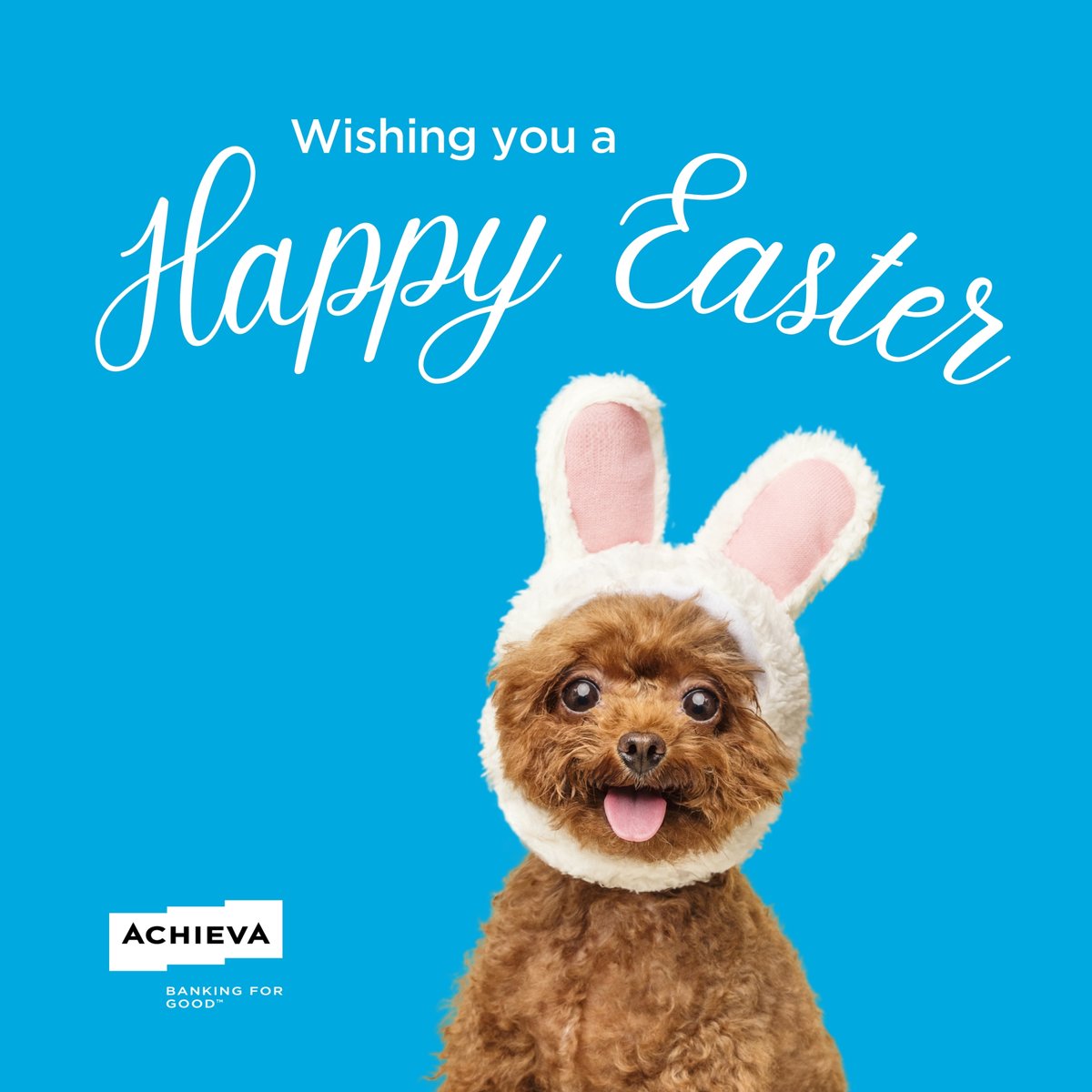 Happy Easter from Achieva Credit Union!