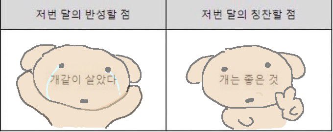 누덕이 tweet media