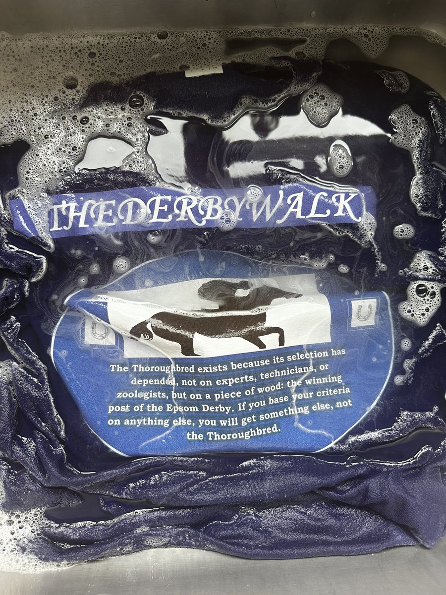 Just handwashing my precious @TheDerbywalk t-shirt from 2019! Never goes in with the main wash! Everyone should do this fab walk sometime! Sunday 19th May this year! Do it!!😊