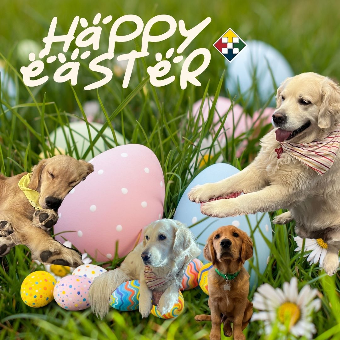 Happy Easter to all who celebrate, from all of us at RSI!

#easter #charlottebusiness #projectmanager