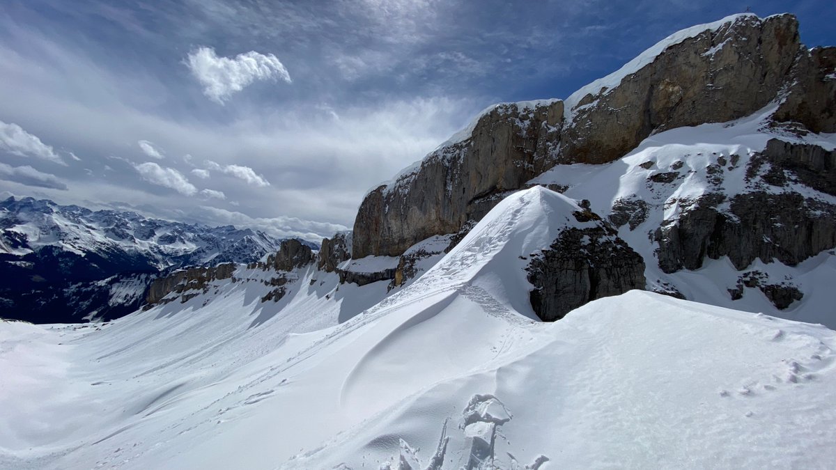 Peter Hoffmann tweet media