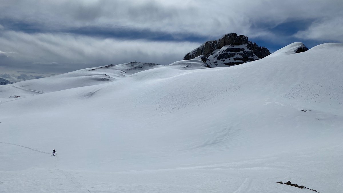 Peter Hoffmann tweet media