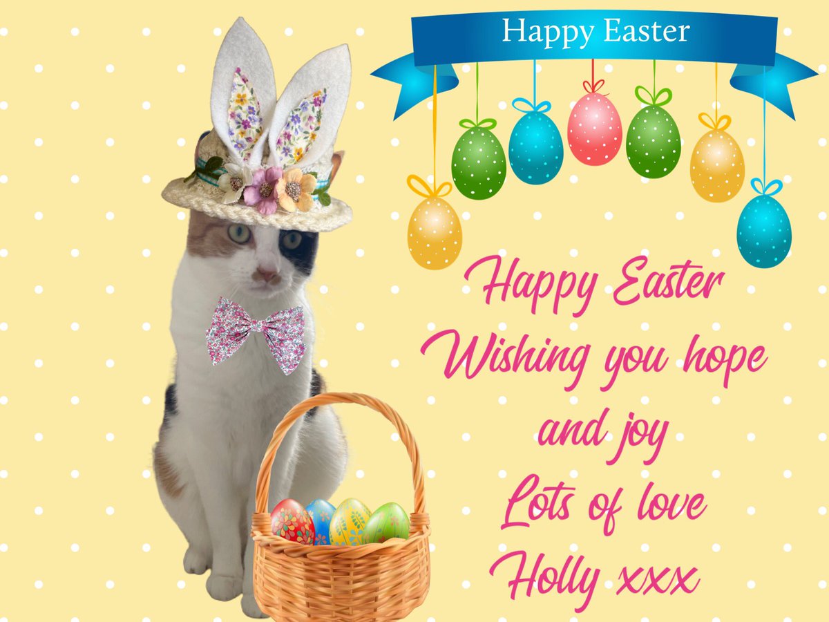 Wishing all my dear friends a Happy Easter. I feel very lucky to be part of this fabulous community. Sending you all a big Holly hug and a sprinkle of kindness🩷🐣🎊🐾 #CatsOfTwitter #Hedgewatch #RescueCat