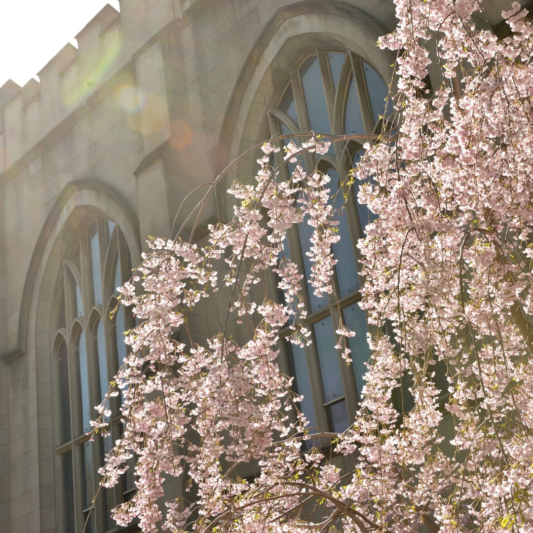 'God raised him on the third day and made him to appear, not to all the people but to us who had been chosen by God.' — Acts 10:40-41 Happy Easter from Hope College!