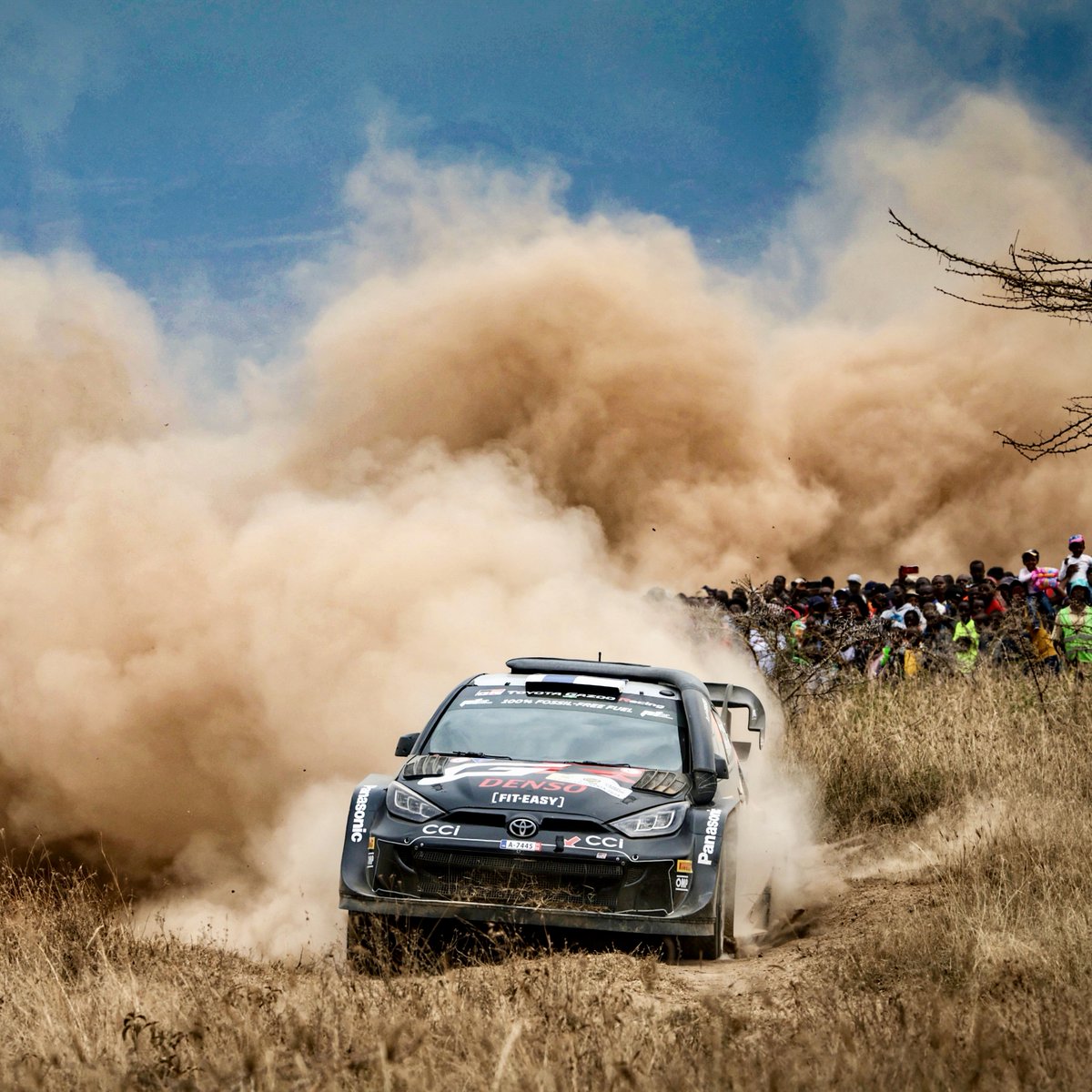 SAFARI RALLY WINNERS AGAIN! 🏆 Phenomenal performance by @KalleRovanpera and @JonneHalttunen to secure the fourth Kenya win in succession for our team 🙌 #ToyotaGAZOORacing #GRYaris #WRC #SafariRallyKenya 🇰🇪