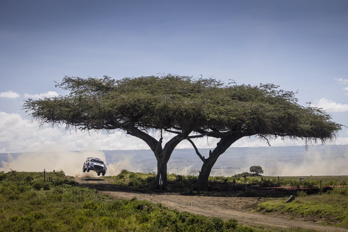 BACK-TO-BACK PODIUM POUR FOURMAUX & CORIA 💙🤍❤️ Le duo tricolore se place troisième du Safari Rally Kenya et décroche un deuxième podium consécutif en WRC 🔥 C’est fort les gars. BRAVO 👏 #WRC #SafariRallyKenya