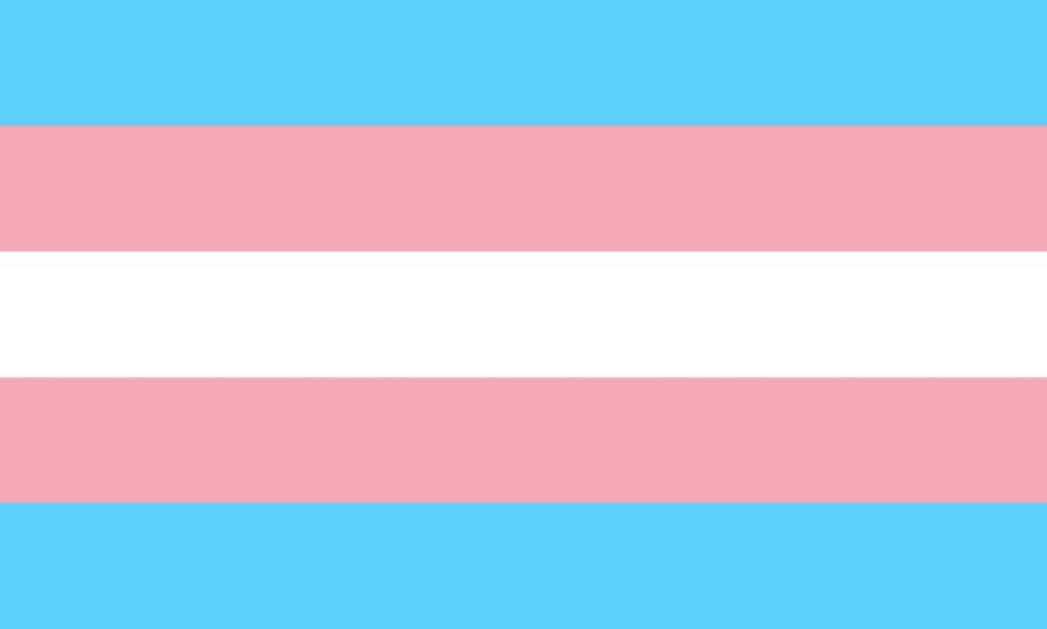 #TransDayOfVisibility 
#TransRightsAreHumanRights 
#TransAlly