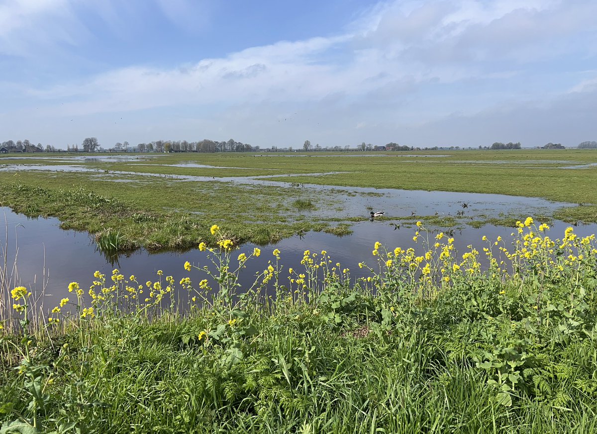 Na de winterstop op de loopband van de sportschool eindelijk weer bijna twee uur gelopen in de vrije natuur van <a href="/MiddenDelflandV/">Midden-Delfland Vereniging</a>. Ja, dat is echt genieten op deze fraaie eerste Paasdag.