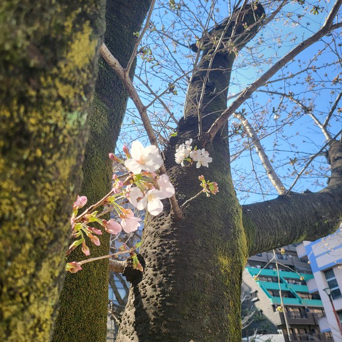 Twitterのコスプレ画像10