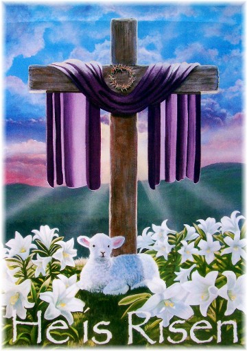 LifeInNaples tweet media