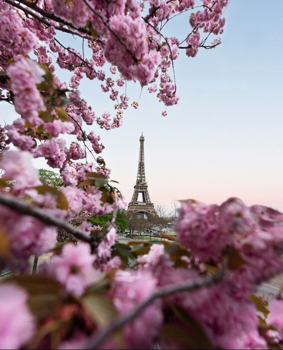 Wishing everyone a very Happy Easter! And Happy 135th birthday to the Eiffel Tower! #JoyeusesPaques #Paris #France #EiffelTower  #HappyEaster #sundayvibes #EasterBlessings #TourEiffel  📸  Dan Asaki 🌸🌸