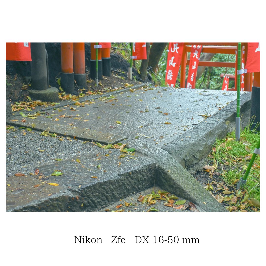 Bell00120's tweet photo. 雨上がりの神社はなぜか神秘的なものを感じる。

こんな何でもない石の道でさえ心が動かされる。

Zfcで写す世界は美しい📷️

#商業カメラマン
#広告カメラマン
#観光
#Nikon
#nikonzfc https://t.co/3m0LASHIP6