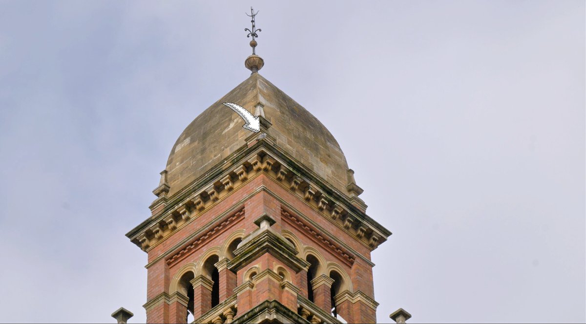 Simon Watts WILD Presentations tweet media