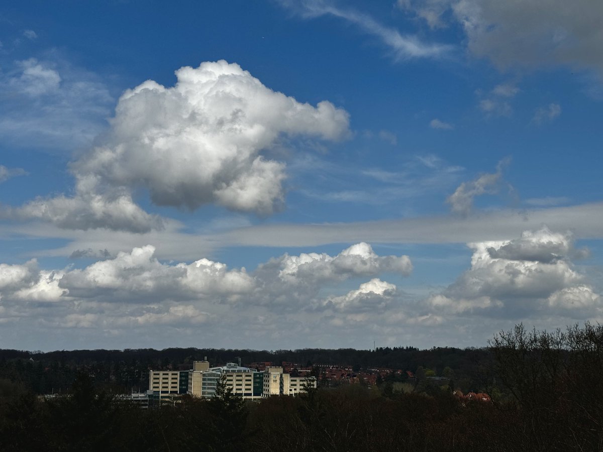 marcoderksen's tweet photo. Goedemiddag Arnhem #belvedere #rijnstate #sonsbeek #arnhem https://t.co/Dy3LerR6uP