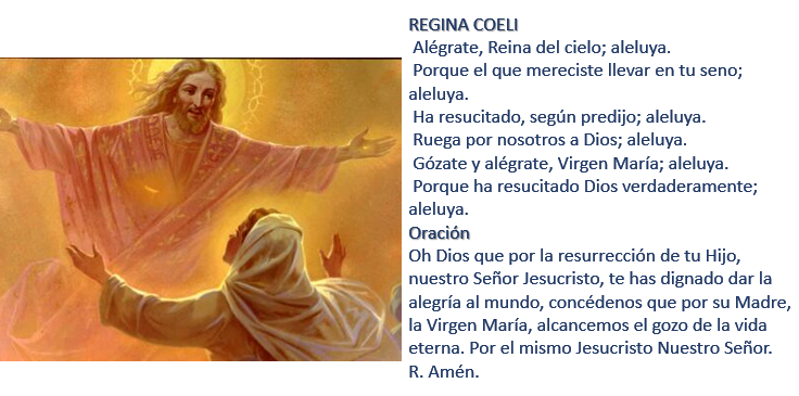 ✝️𝙎𝙖𝙣𝙩𝙤𝙧𝙖𝙡 𝘾𝙖𝙩ó𝙡𝙞𝙘𝙤 tweet media