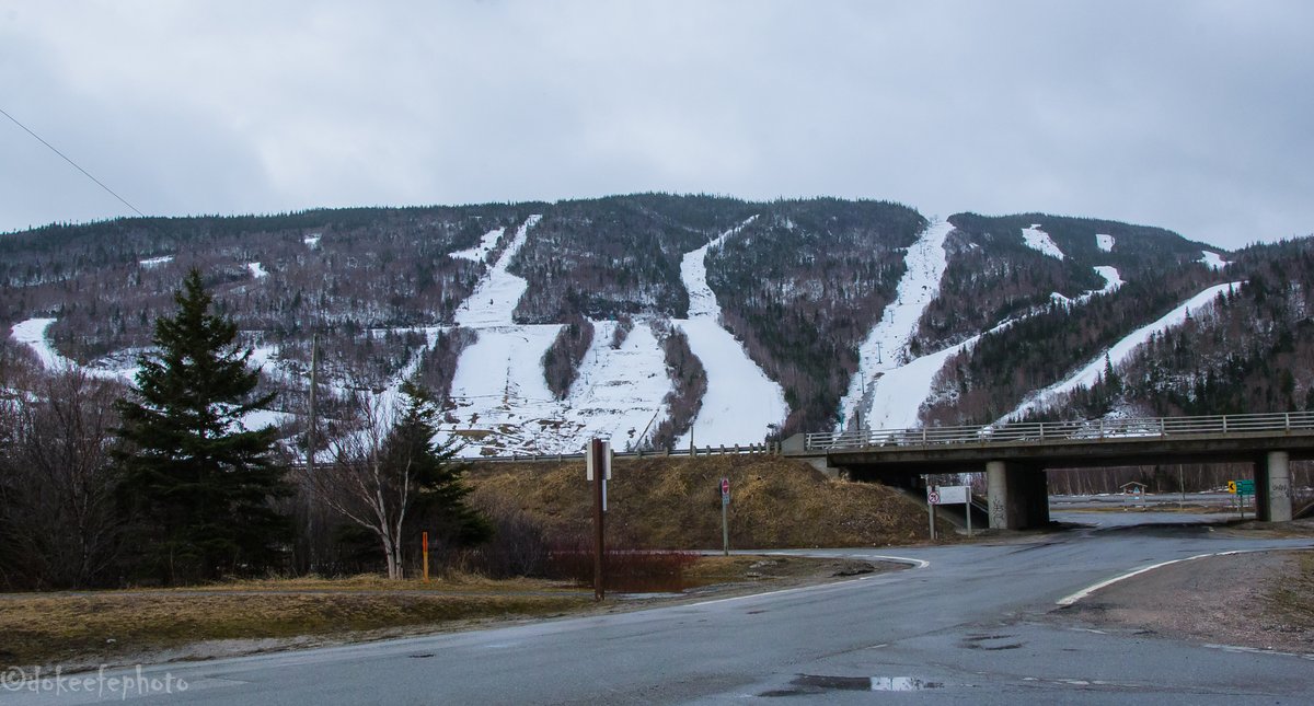 Wishing everyone a #HappyEaster from #SteadyBrook #WestCoastBestCoast #Newfoundland #nlwx have an amazing day!