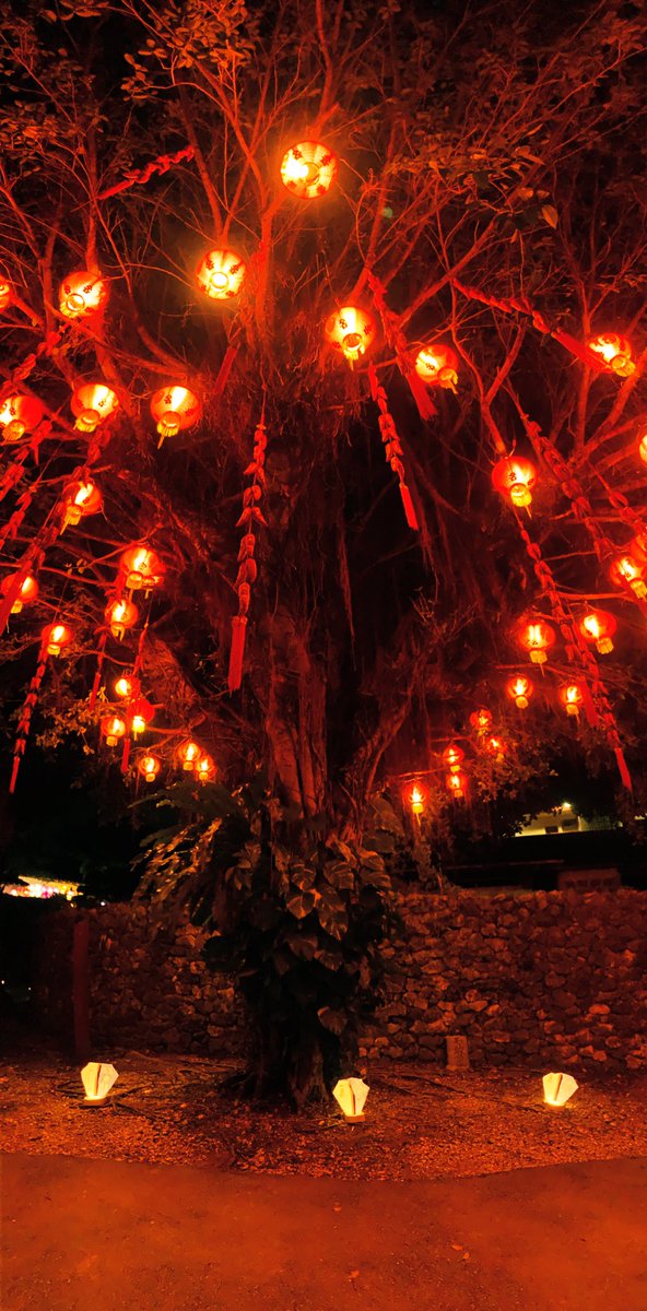 tekerirityan's tweet image. 琉球ランタンフェスティバル行ってきた！
むら咲むら自体聞いた事も行った事もなかったから新鮮味もあって楽しかった🫶
パノラマで撮った方が良い感じに映えたね