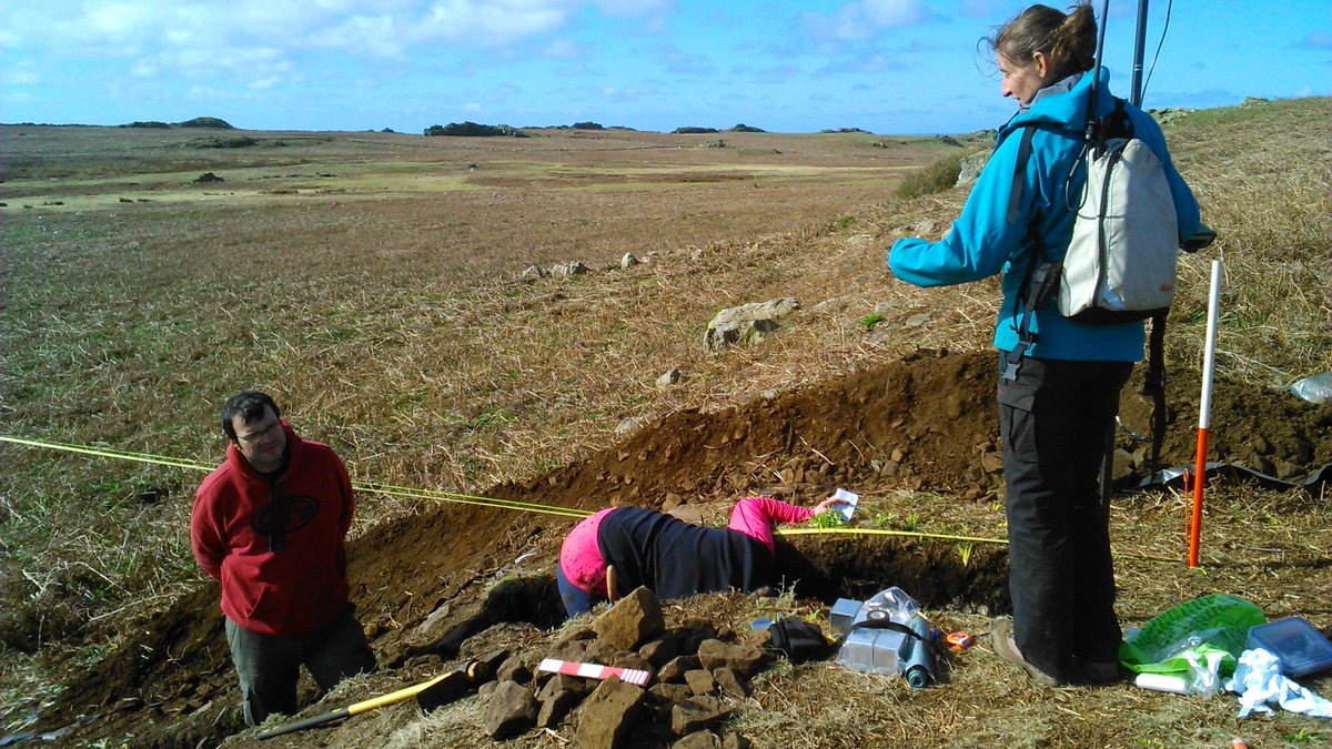 #OnThisDay March 2016 - excavating a trial trench through a prehistoric field lynchet on @skomer_island with Oliver Davis @CUBALab, Bob Johnston @UniShefArch, @LouBarkerLou1 from @RC_Survey & @sarahdavies_sjd from @AU_DGES Great days! Full info here: coflein.gov.uk/en/site/421796…